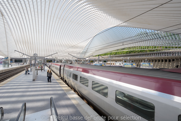 gare de Liège-Guillemins
Liege-Guillemins railway station